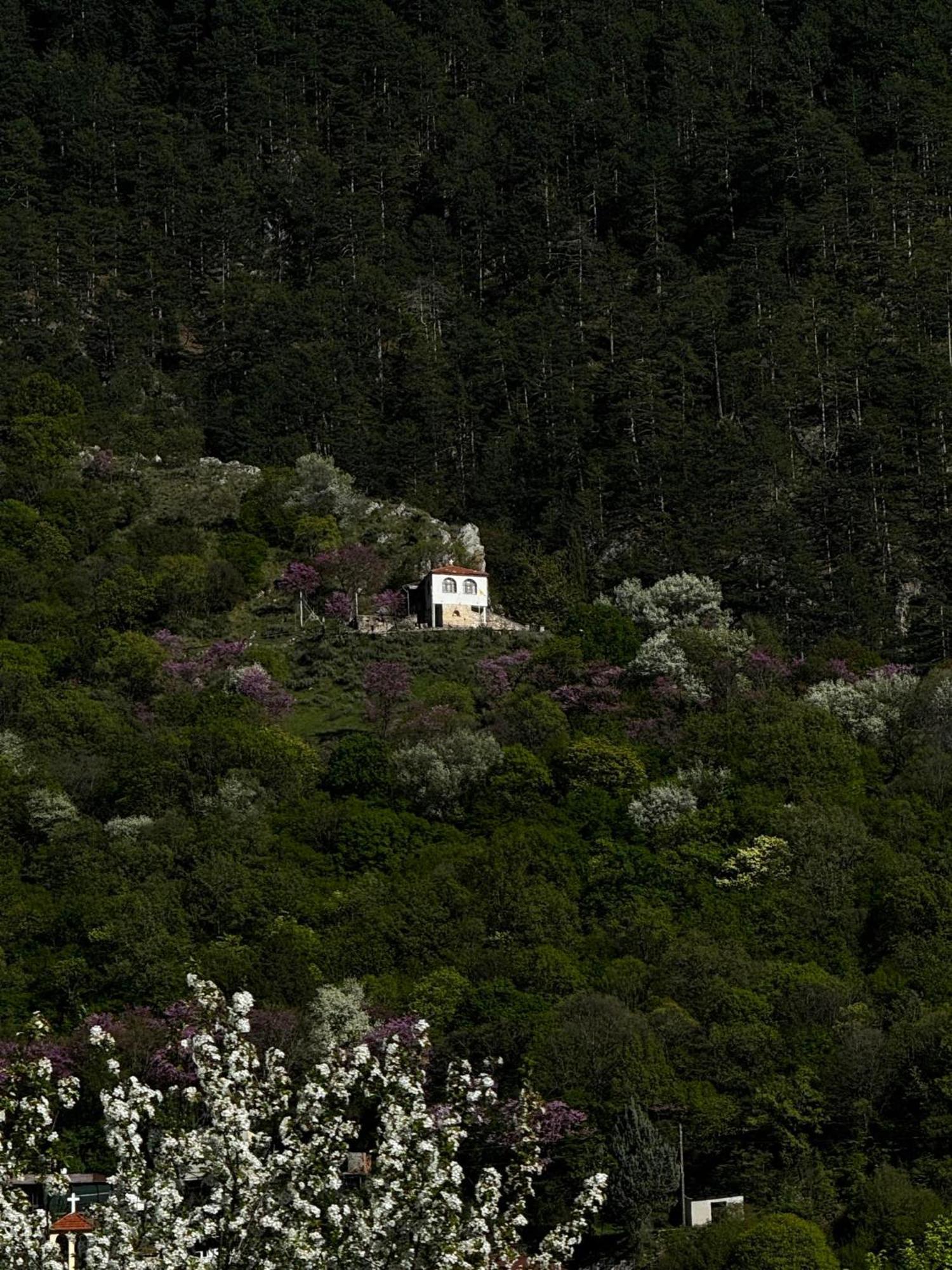 Mountain Serenity Konitsa Exterior foto