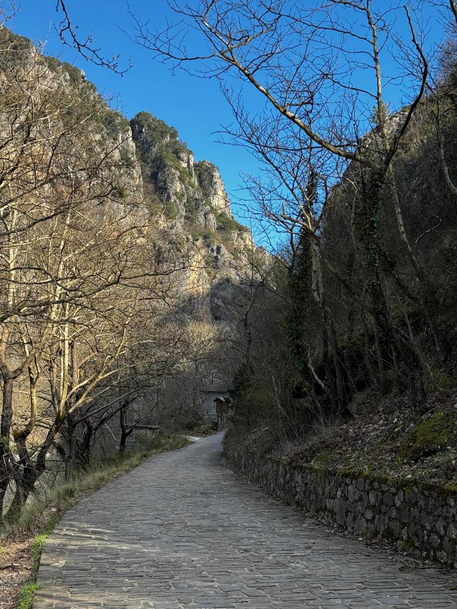 Mountain Serenity Konitsa Exterior foto